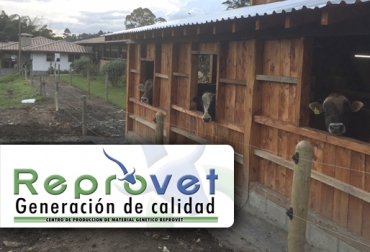 La empresa Reprovet ofrece venta de semen congelado de bovinos, equinos, ovinos y caninos. Foto: Reprovet Crónica Reprovet 2018, Reprovet Sebastián Isaza, Curso reproducción bovina 2018, Central genética Sietecueros, central genética bovina en Colombia, Reprovet Colombia, Reprovet Antioquia, CONtexto ganadero, ganaderos colombia, noticias ganaderas colombia