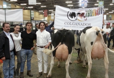 Francisco Rodríguez (extrema izq.) es un apasionado por la ganadería y un aficionado a los negocios. Foto: Colganados Genetics Francisco Rodríguez Colganados, Colganados Genetics, jóvenes empresarios en Colombia, jóvenes ganadería Colombia, mejor vaca Holstein, la vaca del millón de dólares, Colganados Colombia, empresa ganadera, emprendimiento en ganadería, emprendimiento Colombia, empresa Colombia, CONtexto ganadero, ganaderos Colombia, noticias ganaderas Colombia