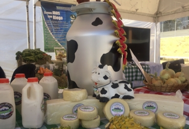 Estos son algunos productos elaborados por la cooperativa, como el queso, el yogur o el sabajón. Foto: CONtexto ganadero Cooperativa Multiagro O.C., Cooperativa Multiagro O.C. Zetaquira, Cooperativa de Productores Lecheros de Zetaquira, Ganaderos Zetaquira Cundinamarca Colombia, Ganaderos Zetaquira, ganaderos Boyacá, Productores Zetaquira, Zetaquira, ejemplo de cooperativismo, asociación de ganaderos, producción de leche de Zetaquira, economía solidaria, CONtexto ganadero, ganaderos Colombia, noticias ganaderas Colombia