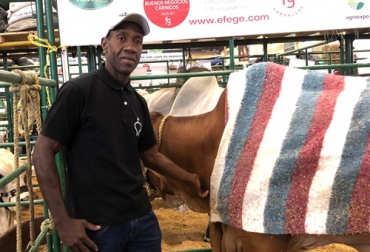 Julián es el encargado de llevar y cuidar los animales de exposición de su empresa . Foto: CONtexto ganadero agroexpo 2019, jornalero, encargado de los animales, animales de exposición, ejemplares de de exposición, bienestar animal, pasión por el trabajo