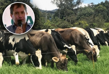 Luis Alfonso González ha sido uno de los mayores impulsores de la raza Holstein en Colombia. Chapete, holstein, Asoholstein, pardo suizo, leche, campeona, campeón, exposición, Agroexpo, desarrollo genético, cruces, Analac, UNAGA, Ganadería, ganadería colombia, noticias ganaderas colombia y contexto ganadero.