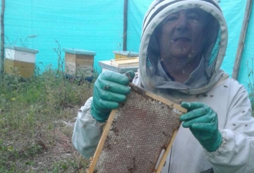 La apicultura es un negocio próspero en Colombia aunque todavía falta mucho camino para recorrer y más apoyo del Estado. Foto: Fedeabejas apicultura, abejas, miel, exportación, Producción, colmenas, zánganos, reina, Fedeabejas, negocio, mercado, consumo, beneficios, potencial, comercialización, Contrabando, Venezuela, costos, precios, fomento, apoyo, Minagricultura, Ganadería, ganadería colombia, noticias ganaderas colombia, CONtexto ganadero.