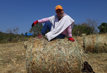 Eustorgia lleva más de 25 años vinculada con el sector, trabajando día a día de la mano de agricultores y ganaderos. Foto: Cortesía. Ganadería, ganadería colombia, noticias ganaderas, noticias ganaderas colombia, CONtexto ganadero, eustorgia méndez, ingeniera agrónoma, sueño del campo, políticas del agro colombiano, Agro Colombiano, falta políticas pequeños y medianos ganaderos, medianos y pequeños ganaderos, crecimiento del campo del país, magangué, ganaderos Magangué, ganaderos colombia, ganaderos