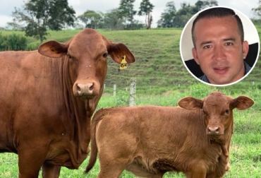 Giovanni Galindo Tijaro de la Ganadería y central genética Boga es un convencido de las bondades de la raza angus brangus y de su potencial en las exportaciones colombianas. Foto: Cortesía Angus, Brangus, genética Boga, transferencia de embriones, Inseminación, carne, sacrificio preñez, bondades de la raza, destete, comercialización, subastas, campeona, Agroexpo, mejor criador, calidad, marmoleo, terneza, genética de punta, Ganadería, ganadería colombia, noticias ganaderas colombia, CONtexto ganadero