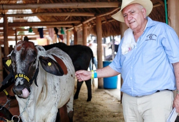Jesús David Numa Saad, al frente de su Hacienda La Loma ha sacado animales campeones en diferentes ferias del país gracias al trabajo genético desarrollado durante décadas. Foto: Cortesía Hacienda La Loma, cebú, Asocebú, Jesús David Numa Saad, ganadero, El Banco, Magdalena, trashumancia, genética, animales campeones, alimento, ensilaje, tecnificación, novillas, vacas, ganadería, ganadería colombia, noticias ganaderas colombia, contexto ganadero