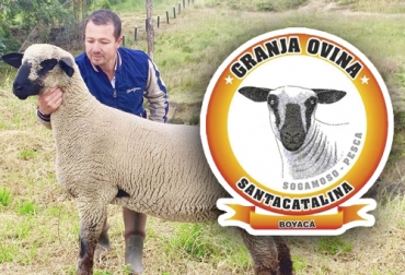 César Augusto Delgado ha trabajado durante 19 años por el campo colombiano, especialmente en el sector ovino caprino en su granja Santa Catalina. Foto: Cortesía Ganadería, ganadería colombia, noticias ganaderas, noticias ganaderas colombia, CONtexto ganadero, ganaderos, ganaderos colombia, sector ovino caprino, producción ovina caprina, caprinos en colombia, ovinos en el colombia, trabajo ovinos en colombia, genética ovina, genética caprina, genética ovino caprina en colombia, césar augusto delgado jiménez, productor ovino caprino