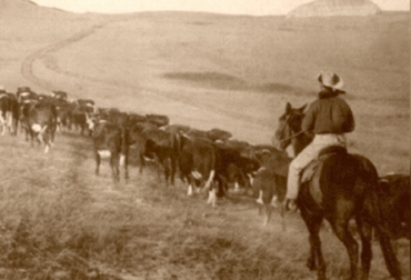 Los 'cattle drives' son muy famosos en el país norteamericano por la gran cantidad de ganado que transitó a lo largo de casi un siglo. Foto: thestoryoftexas.com Cowboy, cattle drives, vaquero, el origen del vaquero, el origen del cowboy, las campañas de arreo de ganado, Trashumancia en Estados Unidos, cattle drives en español, cattle drives United States, cowboy en español, el vaquero de Estados Unidos, el vaquero de México, vaquero México, coronavirus, coronavirus Colombia, COVID-19, cuarentena, Ganadería, ganadería colombia, noticias ganaderas, noticias ganaderas colombia, CONtexto ganadero