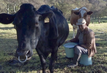 Colfe reúne a 27 productores de ganadería de leche de Fúquene, aunque se tienen 57 proveedores del líquido que no están afiliados pero trabajan unidos. Foto: Cortesía Fúquene, cooperativa, Colfe, Colfrance, leche, pequeños productores, proveedores, refrigeración, concentrados, economías de escala, valor agregado, centro de acopio, cantinas, tanques de refrigeración, silvopastoriles, ganadería, ganadería colombia, noticias ganaderas Colombia, contexto ganadero