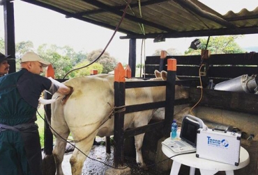 Gómez Velásquez quiere tener su propia finca para hacer los procesos biotecnológicos que tiene a la mano. Foto: Cortesía ganadería, ganadería colombia, noticias ganaderas, noticias ganaderas colombia, contexto ganadero, César Gómez, veterinario, campo colombiano, agro colombiano, reproducción animal, sanidad animal, mejoramiento genético, biotecnología, campo colombiano