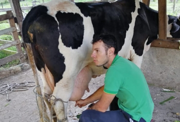 el joven productor asegura que el trabajo en el campo no es una tarea fácil, sino que es una labor que implica mucha pasión. Foto: Cortesía ganadería, ganadería colombia, noticias ganaderas, noticias ganaderas colombia, contexto ganadero, jose David arenas, asoagriganaderos, joven ganadero, ganaderos joven, falta de oportunidades en el campo, falta de inversión en el campo, buenas practicas ganaderas, buenas practicas agrícola