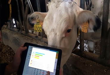 El sector poco a poco adopta herramientas tecnológicas que facilitan la labor y la hacen más eficiente. Foto: gradiant.org Ganadería, ganadería colombia, noticias ganaderas, noticias ganaderas colombia, CONtexto ganadero, tecnología en ganadera, tecnologia 4.0 en ganaderia, imágenes satelitales, pasturómetro, cercas virtuales dinámicas, oferta forrajera, Cattler, blockchain, blockchain en ganaderia, blockchain aplicado a ganadería, contratos blockchain, índices de eficiencia, carlos becco,