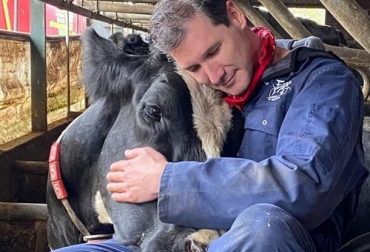 La terapia de abrazar vacas "koe knuffelen" nació en Países Bajos y se extendió por otros países debido a los resultados que brinda para reducir el estrés. Foto: @koeknuffelen Abrazar las vacas, acariciar las vacas, moda de abrazar las vacas, koe knuffelen, granja holandesa, abrazar vacas terapia, pagar por abrazar vacas, abrazar vacas relaja, terapia de abrazar vacas, terapia con vacas, ganado bovino, ganadería bovina, carne, leche, ganaderos, ganaderos colombia, ganado, vacas, vacas Colombia, bovinos, Ganadería, ganadería colombia, noticias ganaderas, noticias ganaderas colombia, CONtexto ganadero, contextoganadero