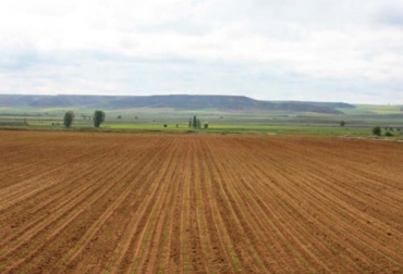 La práctica del barbecho es común a distintas regiones del mundo y se remonta casi a los orígenes de la agricultura y la ganadería. Foto: agriculturers.com historia del barbecho como práctica cultural