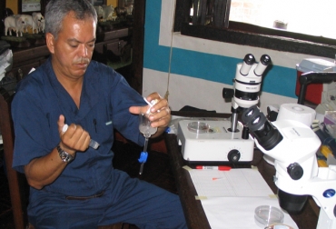 Carlos Jairo Gómez es la persona que más ha hecho transferencias de embriones en Colombia. Foto: Cortesía. transferencia de embriones en Colombia