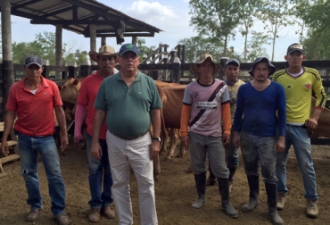 El ganadero Marco Cure en compañía de sus trabajadores en la finca en la cual convive con las 3 razas criollas. Foto: Suministrada. ganado criollo