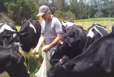 Para Evaristo, la competencia está fuera de Colombia y conoce la eficiencia de otros lecheros. Foto: Evaristo Piedrahita. Evaristo Piedrahita.