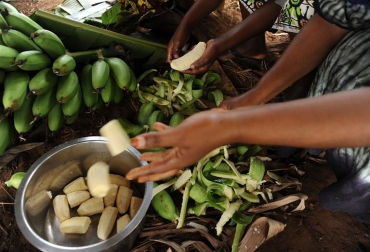 El crecimiento económico en toda la región, es uno de los puntos claves para la reducción de la pobreza durante los últimos 10 años reveló la FAO. / Foto: Cortesía FAO Hambre en el mundo, fao