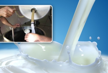 Los productores de leche comenzaron a recibir menos dinero por cada litro que acopia la industria. Foto: CONtexto ganadero. baja acopio de leche