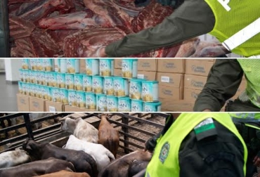 Expertos indican que el contrabando tanto de carne como de animales incrementan el sacrificio clandestino. Foto: CONtexto ganadero. Aprehensiones Polfa enero mayo 2015