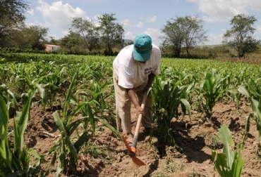 Actualmente, según los datos suministrados, el sector agrícola hace uso de 7 millones 115 mil hectáreas. Foto: lajornadajalisco.com.mx. censo agropecuario colombia