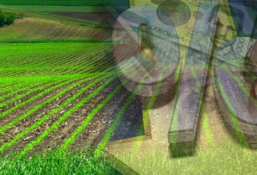 Lafaurie Rivera ha venido insistiendo en la importancia que se le debe dar al tema de las garantías. Foto: CONtexto ganadero. finagro icr créditos agropecuarios