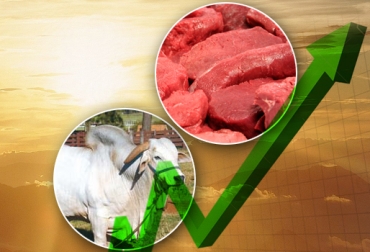 Fenómenos climáticos, contrabando y sacrificio clandestino, razones del aumento en los precios de ganado gordo y carne. Foto: CONtexto ganadero. Aumento precio carne y ganado