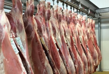 Los 5 departamentos que más producen carne de res se localizan en el centro, norte y sur del país. Foto: CONtexto ganadero. producción carne colombia