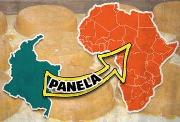 Al finalizar el año, el sector espera haber logrado exportar 200 toneladas al continente africano. Foto: CONtexto ganadero. exportación panela colombiana