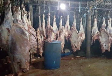 Un centro ilegal para el sacrificio de ganado fue desmantelado en acciones conjuntas entre la Polfa y el Ejército. Foto: Cortesía. contrabando, sacrificio, sacrificio ilegal, frontera, Venezuela, Colombia, animal, reses