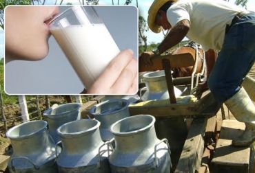 El precio de la leche sube al consumidor mientras que el ganadero colombiano recibe un pago por litro similar al de hace 10 años. Foto: www.juventudrebelde.cu / CONtexto ganadero. precio litro de leche Colombia