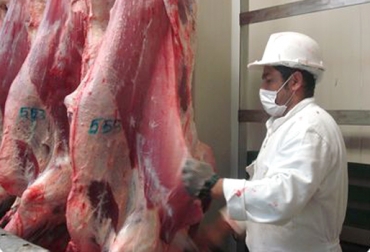 Se exige a las plantas de beneficio animal de Colombia el cumplimiento de parámetros de calidad e inocuidad. Foto: CONtexto ganadero. categoría de frigoríficos Colombia