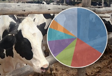 El DANE señaló que los resultados del Censo reflejan que en el país hay 21,4 millones de animales. Foto: CONtexto ganadero. III Censo Nacional Agropecuario