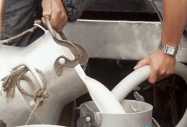 Los costos, la adminitracción y los modelos de producción son algunos de los elementos que hacen que la producción de leche sea rentable. Foto: www.unilac.com.co producción, leche, rentabilidad