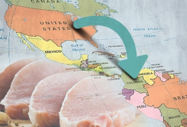 La Asociación estima que a Colombia puedan ingresar 45 mil toneladas desde Estados Unidos. Foto: CONtexto ganadero. Importaciones carne cerdo Colombia