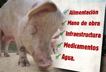 Los porcicultores tienen la tarea de registrar y analizar los datos de la producción de sus granjas. Foto: CONtexto ganadero. Alimentación cerdos