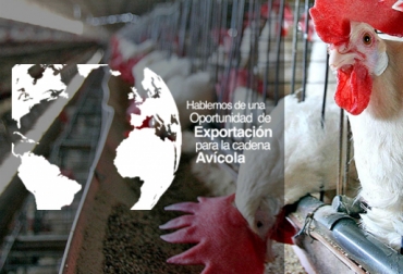 En el evento también estarán presentes miembros de entidades públicas, quienes hablarán sobre los avances y retos del sector. Foto: CONtexto ganadero y Portafolio. Foro Oportunidades de exportación para la cadena avícola
