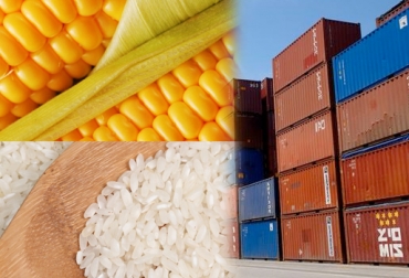 La SAC insiste en que no se deberían importar productos con 0 % arancel porque se desincentiva la siembra en el campo. Foto: CONtexto ganadero. Importaciones productos agropecuarios