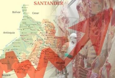 En el territorio nacional, el sacrificio de ganado bovino de forma legal aumentó significativamente en el tercer trimestre del año. Foto: CONtexto Ganadero. sacrificio, sacrificio legal, frontera, Contrabando, Venezuela, exportaciones, Colombia, Rusia, animal, reses