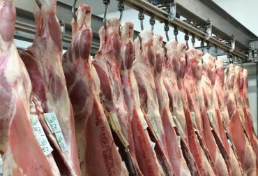 El Decreto 1500 entrará en vigencia en agosto de 2016. Foto: CONtexto ganadero. decreto 1500
