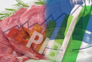 La producción anual de leche cayó un 1,2 ,el sacrificio de ganado bovino aumento 1,3 %. Foto: CONtexto ganadero. cifras carne leche colombia pib 2015