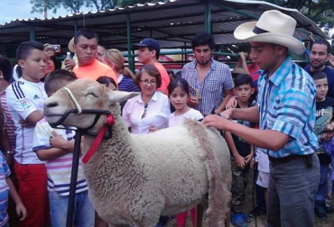 Después de recibir el diagnóstico se hará un plan de trabajo para aplicar las recomendaciones. Foto: ANCO. Producción ovino caprina Colombia