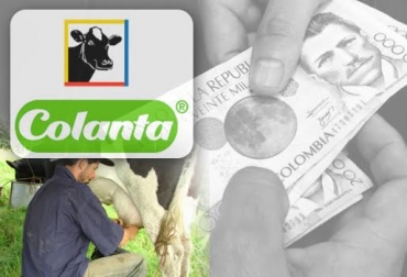 Colanta siempre esgrime argumentos que le permiten pagar a voluntad la leche que comercializa. Foto: www.colanta.com.co / CONtexto ganadero. colanta precio de la leche, colanta precio de la leche noticias, colanta precio de la leche cifras, colanta precio de la leche córdoba, CONtexto ganadero