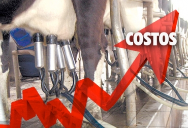 Hace algunos años, los productores no tenían que lidiar con el alto costo de la energía y de los impuestos. Foto: www.portalechero.com - CONtexto ganadero Costo elevados en ganadería Colombia, costos insumos Colombia, precios de insumos agropecuarios Colombia, alto costo insumos, escasez de materias primas, altos precios de derivados de petróleo, altos precios fertilizantes, altos precios concentrados, paro camionero Colombia 2016, ganaderos afectados por altos costos de insumos, Gobierno indiferente ante altos costos de insumos, CONtexto ganadero, ganaderos colombia