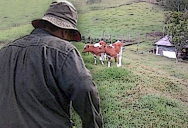 El ganadero de Villapinzón decidió abandonar el negocio pecuario porque no encontró apoyo del Gobierno. Foto: CONtexto ganadero Ganadero Cundinamarca perdió todo, falta de atención del Gobierno, falta de apoyo del Estado, Banco Agrario, solicitud de créditos en Banco Agrario, créditos agropecuarios, ganaderos se quejan del Banco Agrario, ganaderos tienen dificultad para acceder a créditos, ganaderos con problemas económicos, Verano intenso, afectaciones colombia fenómeno de el niño, CONtexto ganadero, ganaderos colombia