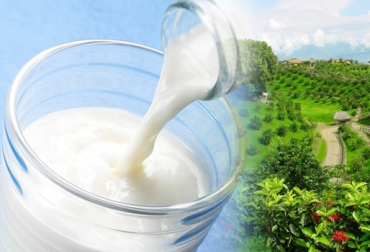 Los productores lecheros del Eje Cafetero manifestaron que el precio de la leche no sube de los $1.000. Foto: www.isavictoryhotelboutique.com - www.reporterosasociados.com.co precio litro de leche colombia, precio de la leche fórmula Colombia, industria precio base leche, noticias precio base Colombia, rentabilidad productores leche Colombia, precio leche productores Colombia, reclamos productores leche Colombia al Gobierno, precio leche Colombia no ha variado en 10 años, CONtexto ganadero, ganaderos colombia