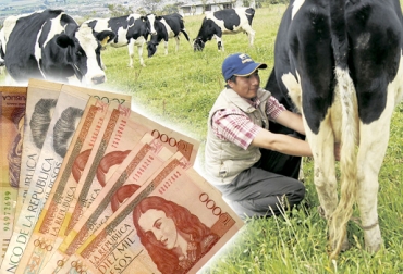 Productores afirman que las empresas acopiadoras bajaron el precio para pagar las prestaciones sociales de sus productores. Foto: ClubDarwin.net - CONtexto ganadero Industria láctea pago nómina diciembre, industria baja precio leche para pagar nómina, Baja precio leche Cundinamarca, Producción de leche en Colombia, precio del litro de la leche, temporada invernal 2016, llegada de las lluvias 2016, importaciones de leche, Alpina, Parmalat, El Recreo, Alquería, Baja precio leche noticias noviembre 2016, baja precio leche Cundinamarca noviembre 2016, CONtexto ganadero, ganaderos colombia
