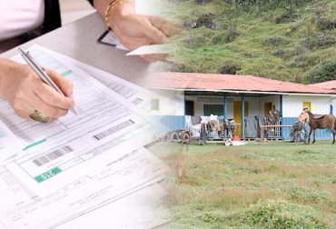Los ganaderos de Risaralda están preocupados por el incremento exagerado de los impuestos. Foto: actualicese.com / CONtexto ganadero. Altos impuestos ganadería, Costo elevados en ganadería Colombia, altos costos insumos Colombia, altos precios concentrados, ganaderos afectados altos impuestos, ganaderos impuesto predial, ganaderos Risaralda impuesto predial, ganaderos afectados por altos costos de insumos, Gobierno indiferente ante altos impuestos, CONtexto ganadero, ganaderos colombia