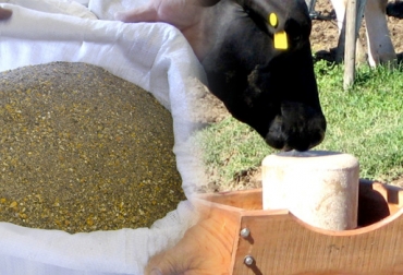 Productores lamentaron los costos tan altos de los insumos agropecuarios en el país. Foto: www.sofoval.com / vacadirect.com. Costo insumos Colombia, precios de insumos agropecuarios Colombia, alto costo insumos, escasez de materias primas, altos precios de derivados de petróleo, altos precios fertilizantes, altos precios concentrados, paro camionero Colombia 2016, ganaderos afectados por altos costos de insumos, Gobierno indiferente ante altos costos de insumos, CONtexto ganadero, ganaderos colombia
