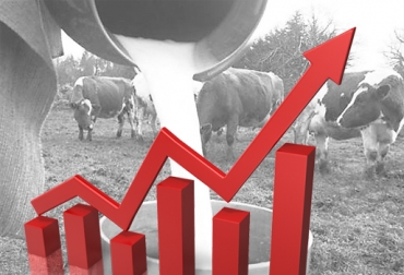 Mientras que los precios de los productos suben, ganaderos dedicados a la lechería siguen recibiendo el mismo pago por la leche. Foto: Revista Summa Costo insumos Colombia, precios de insumos agropecuarios Colombia, alto costo insumos, escasez de materias primas, altos precios de derivados de petróleo, altos precios fertilizantes, altos precios concentrados, paro camionero Colombia 2016, ganaderos afectados por altos costos de insumos, Gobierno indiferente ante altos costos de insumos, Reforma tributaria, reforma tributaria colombia, ganadería reforma tributaria, CONtexto ganadero, ganaderos colombia
