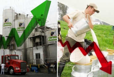 Mientras que Colanta registró ventas por más de $2 billones, los productores luchan por un aumento de $70 en el pago de la leche. Foto: www.elmundo.com - diariodelsur.com.co Quejas estados financieros Colanta marzo 2017, estados financieros Colanta 2016, Quejas contra Colanta marzo 2017, precio leche colanta, colanta precio de la leche, colanta precio de la leche noticias, colanta precio de la leche cifras, ganaderos quejas Colanta, cooperativa ahorro y crédito Colanta, CONtexto ganadero, ganaderos Colombia